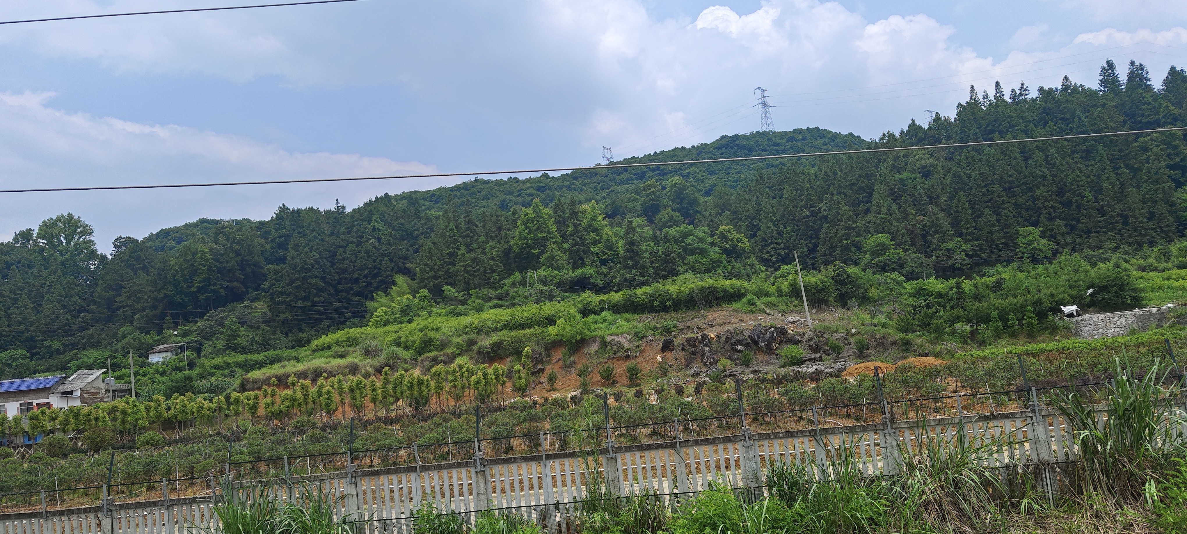 请输入图片描述